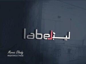 تصميم شعارات 5